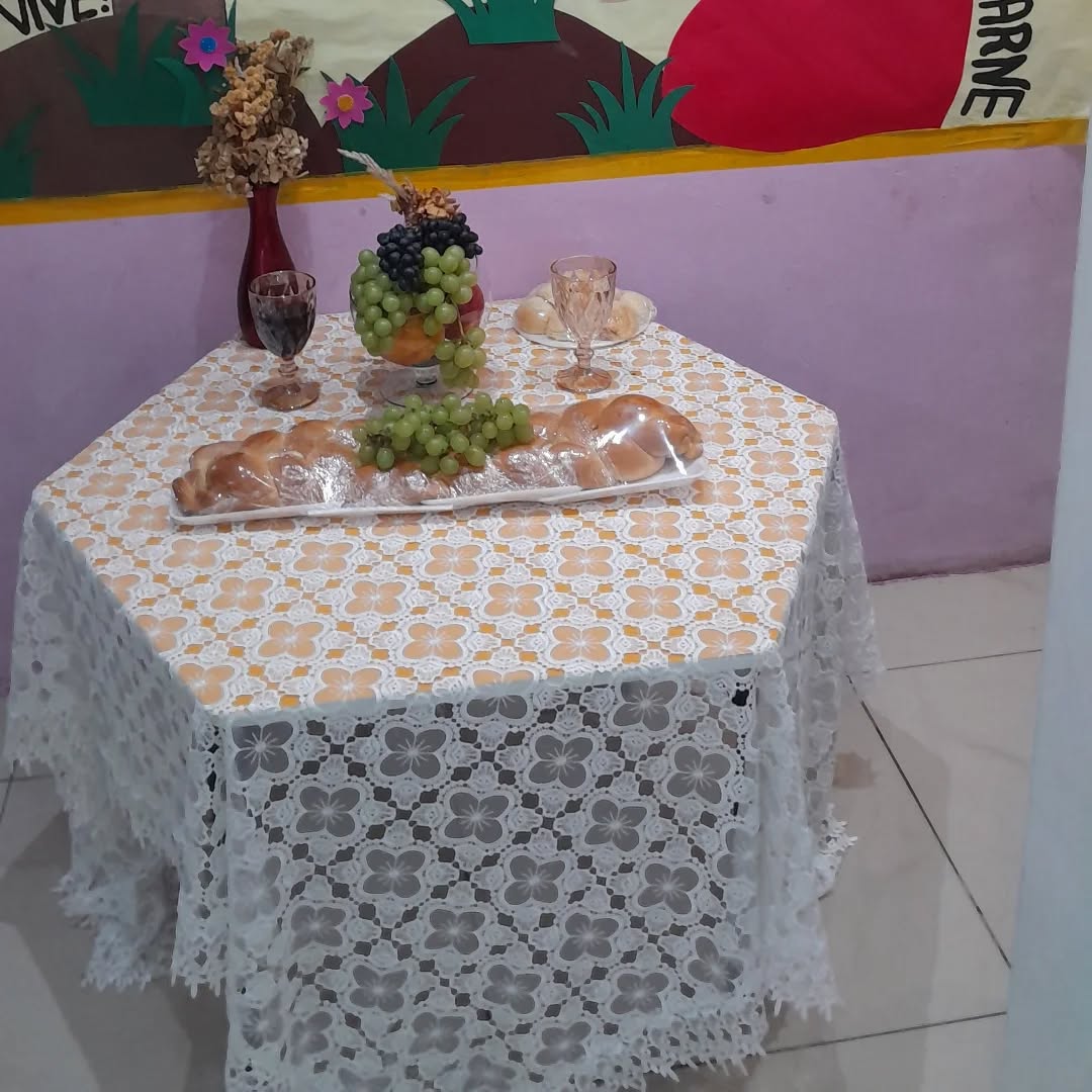 Visita da Ovelinha na Dias do Saber
